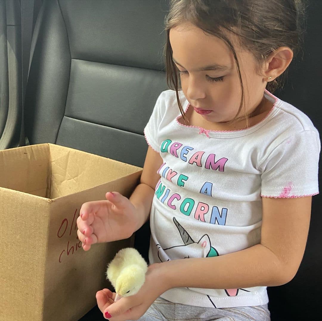 Cristy Bernal, esposa de Alan, fue quien compartió estas imágenes destacando el gran amor que sientes sus hijos por los animalitos. Aquí vemos a Michelle muy cuidadosa con un pollito.