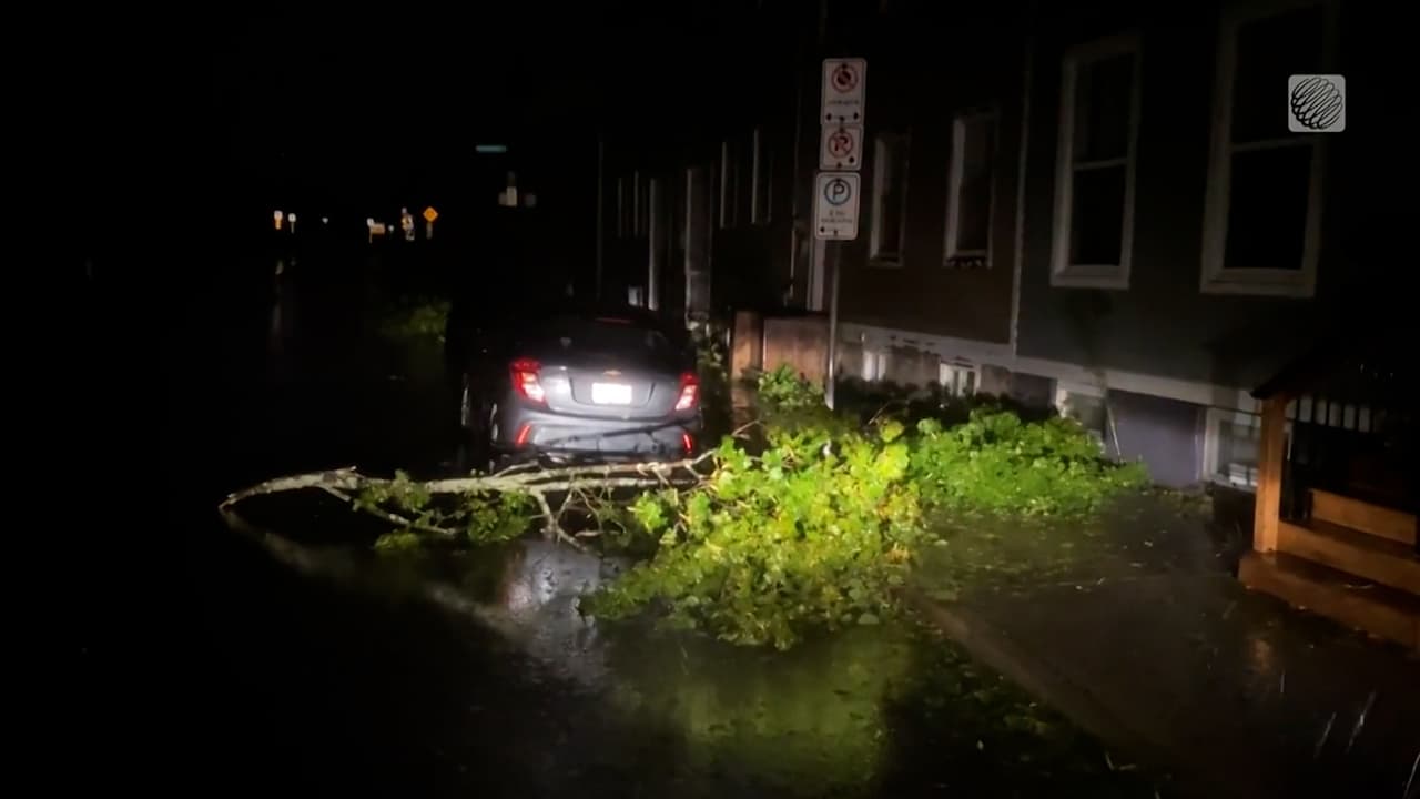 <b>En video: </b>Habitantes de la provincia canadiense de Nueva Escocia se han visto afectadas con la entrada del ciclón postropical Fiona que ha dejado árboles caídos, así como los cortes de electricidad masivos.