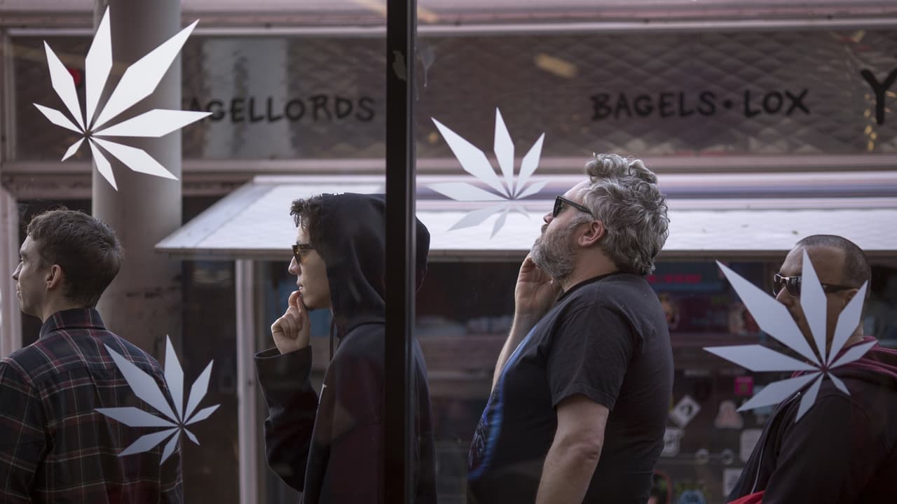 Lo que debes saber sobre "Weed on Rails", la polémica propuesta para financiar el subway 