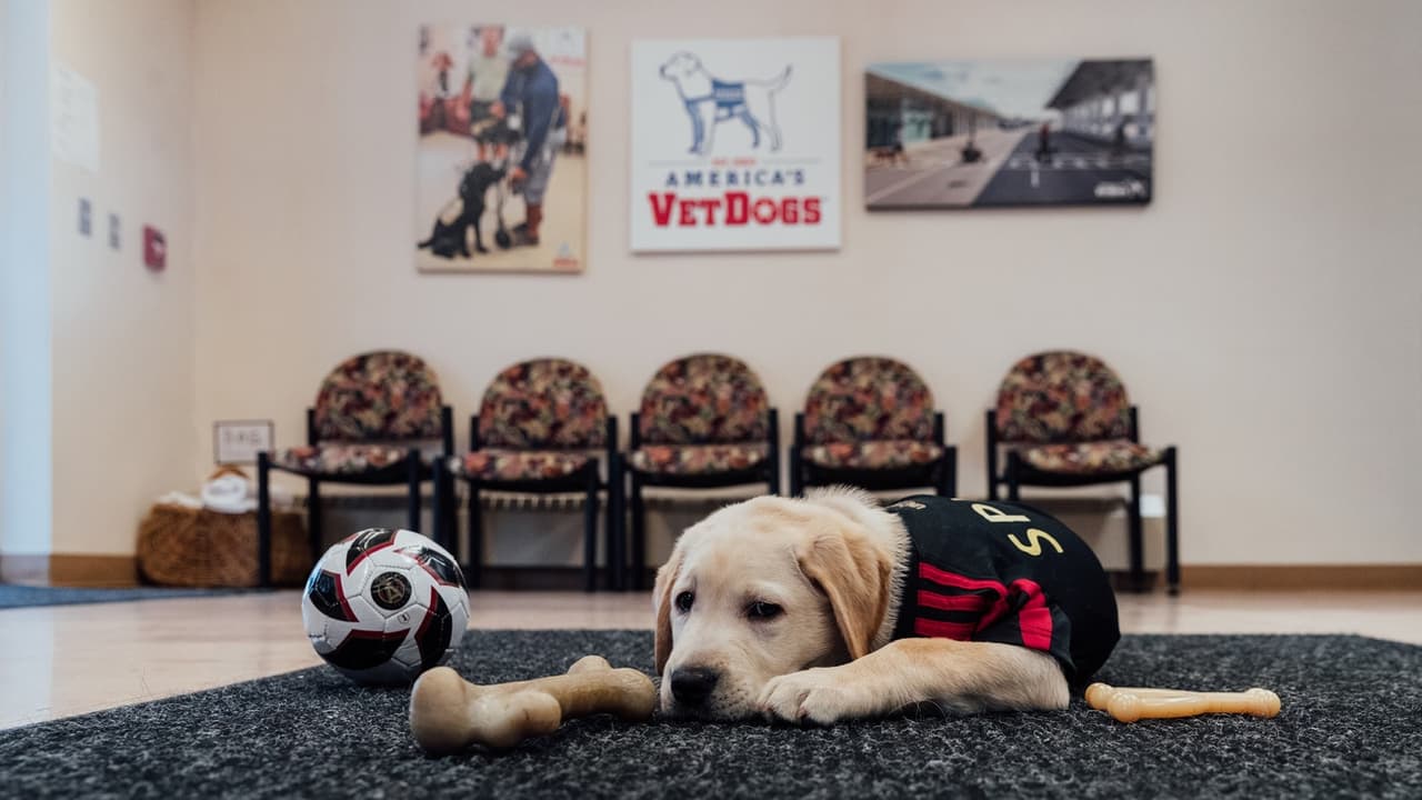 Spike no es un cachorro más. Tiene cuenta en Twitter e Instagram, y puedes seguirlo en @ATLUTDPup. También puedes saber más sobre su historia en atlutd.com/pup.