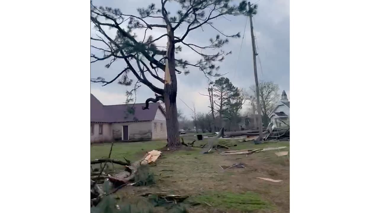 En Pickton, al oeste del Metroplex, se registraron estos fuertes daños de árboles y ramas caídas, alguna maquinaria volcada.