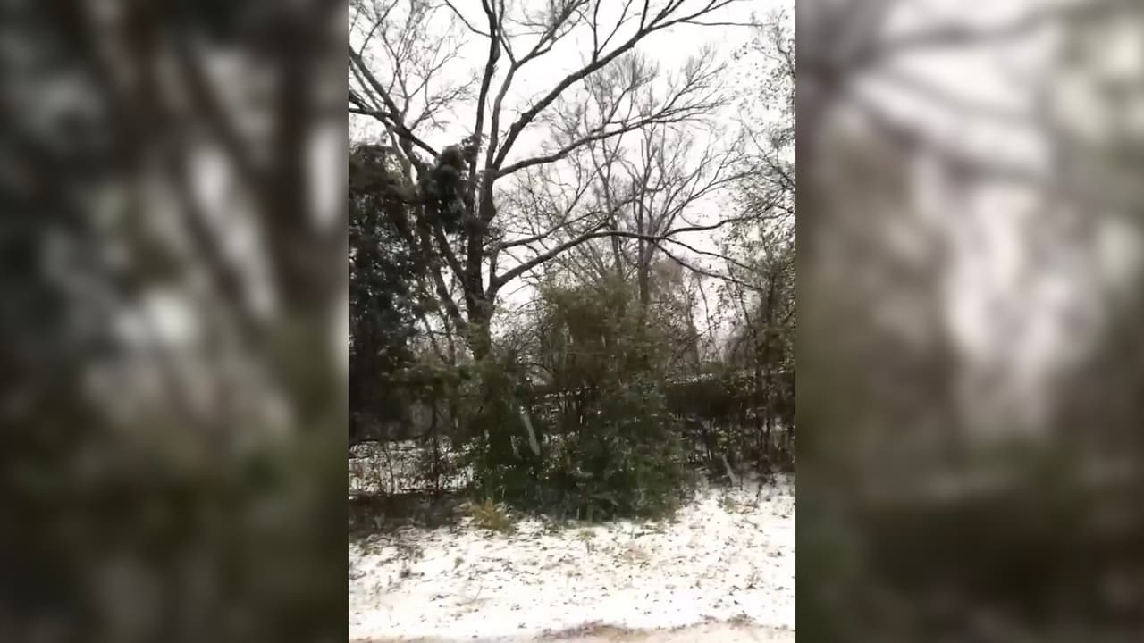 Odis L´opez tomó esta foto de la nieve en el condado Walker.