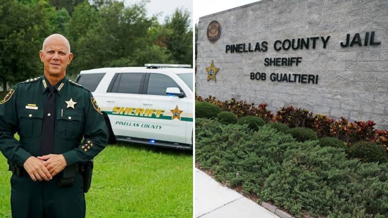 Sheriff de Pinellas atribuye a ICE el reingreso de 174 inmigrantes en la cárcel del condado