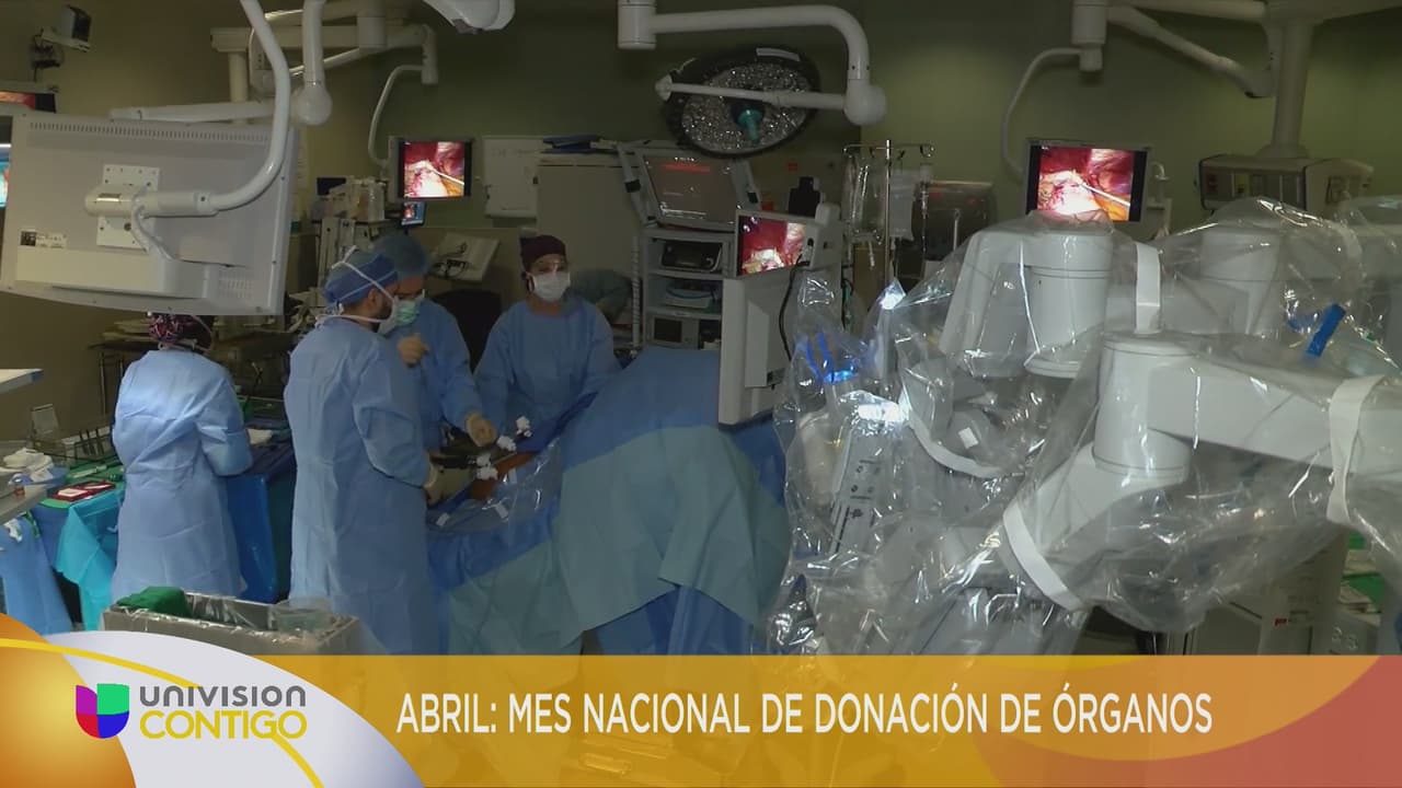 Importancia de la donación de órganos y tejidos