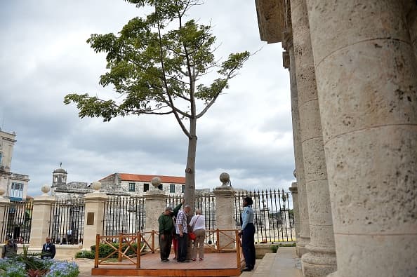 La ceiba es un árbol que se considera sagrado, al cual la gente en Cuba le pide deseos, luego de darle tres vueltas y tocar su tronco. El árbol está plantado en el parque fundacional de la ciudad capital. 
<br>