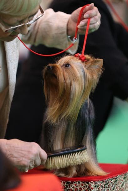 Y sin duda, lo logran.