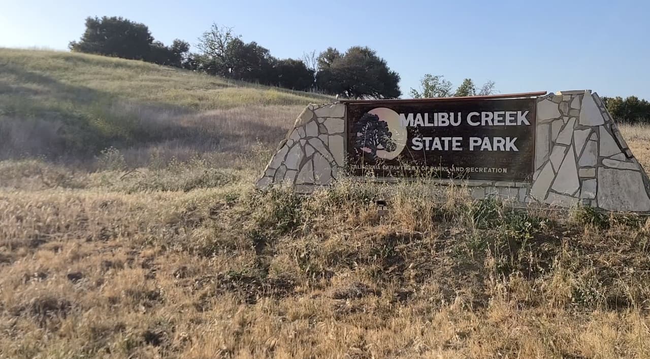 Mientras iban de regreso a su vehículo vieron a la víbora a un lado del sendero por el cual caminaban.
