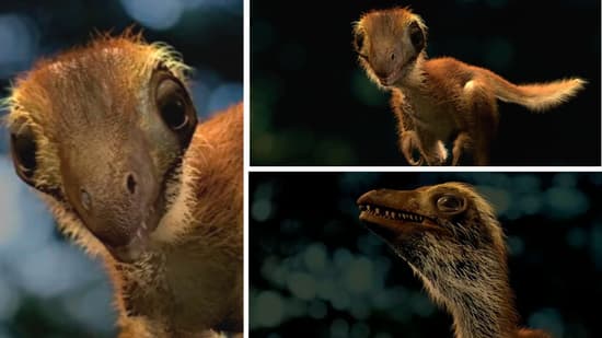 Científicos muestran como era la apariencia de un T-Rex bebé: lo llaman ...