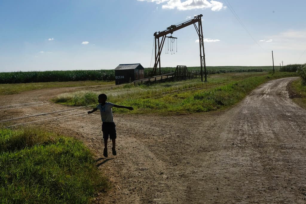 Hacinados y sin paga: las terribles condiciones laborales por las que EEUU suspendió la importación de azúcar de República Dominicana