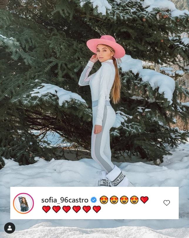 <b>Sofía Castro</b>, quien ha trabajado con los dos actores en las telenovelas, se unió a las felicitaciones con varios emoticonos.