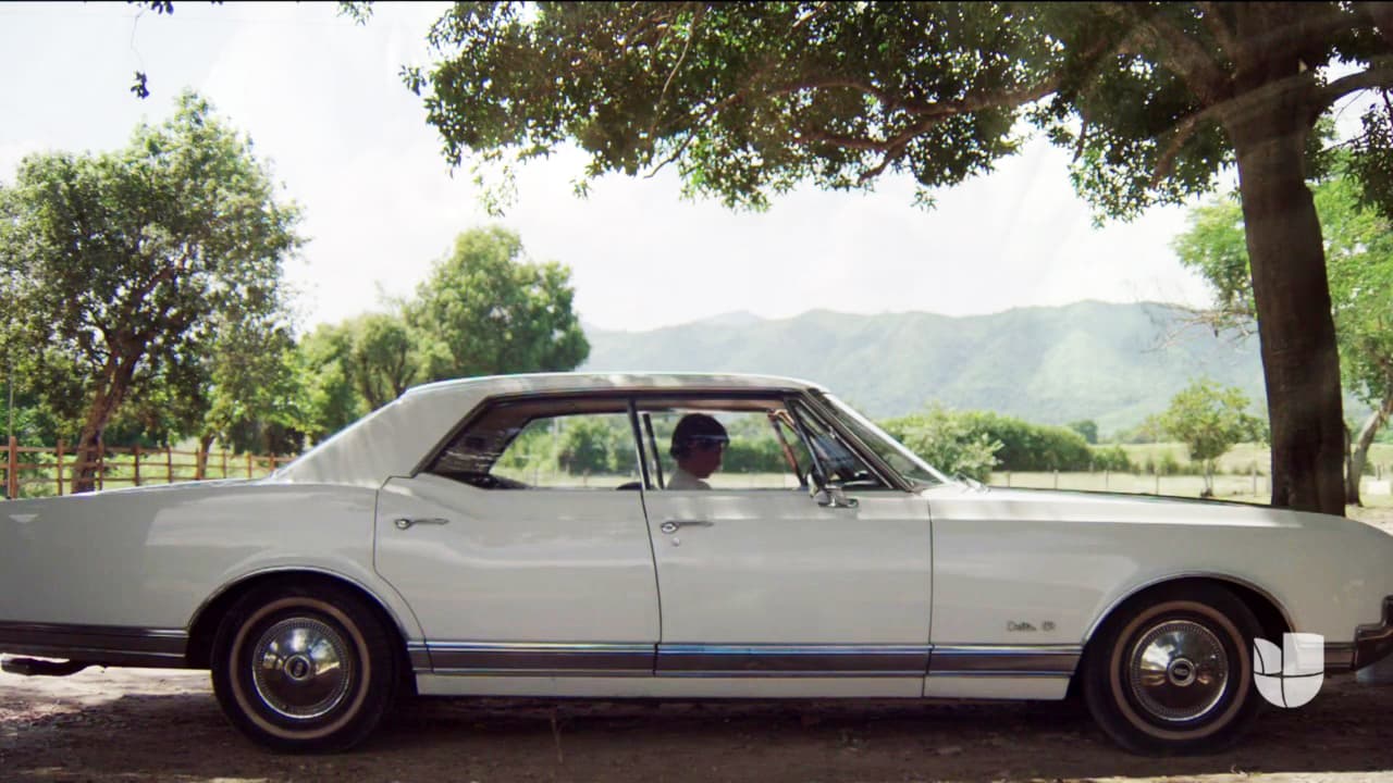 En un acto de locura se jugó la vida al robarle un auto lujoso.