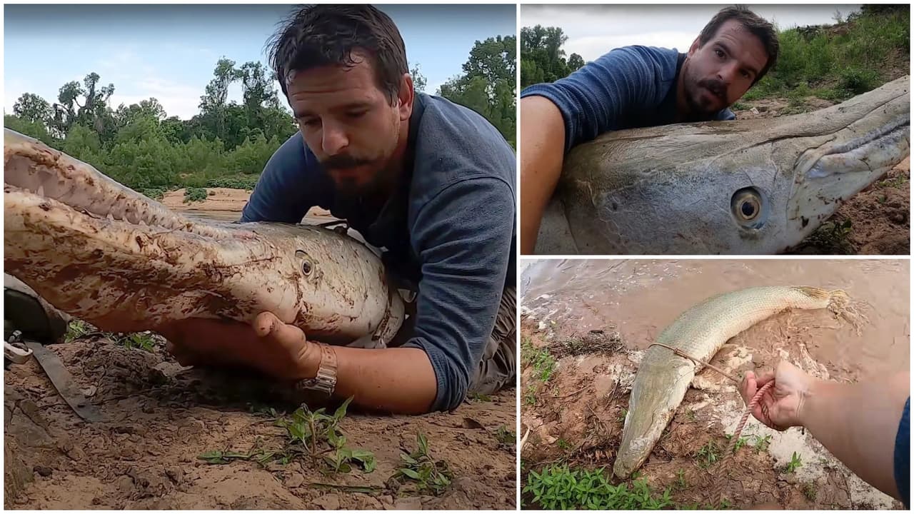 Hombre de Texas pesca a un “increíble grande pez dinosaurio” de 300 libras