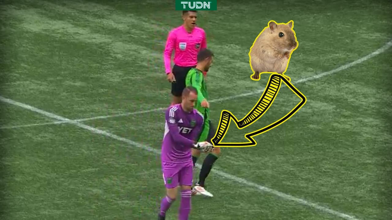 Un ratón se mete a la cancha en pleno partido de la MLS