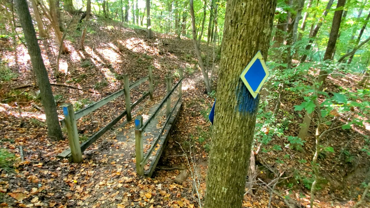 Tugaloo cuenta además con 4 millas de senderos que te llevarán a recorrer la zona.