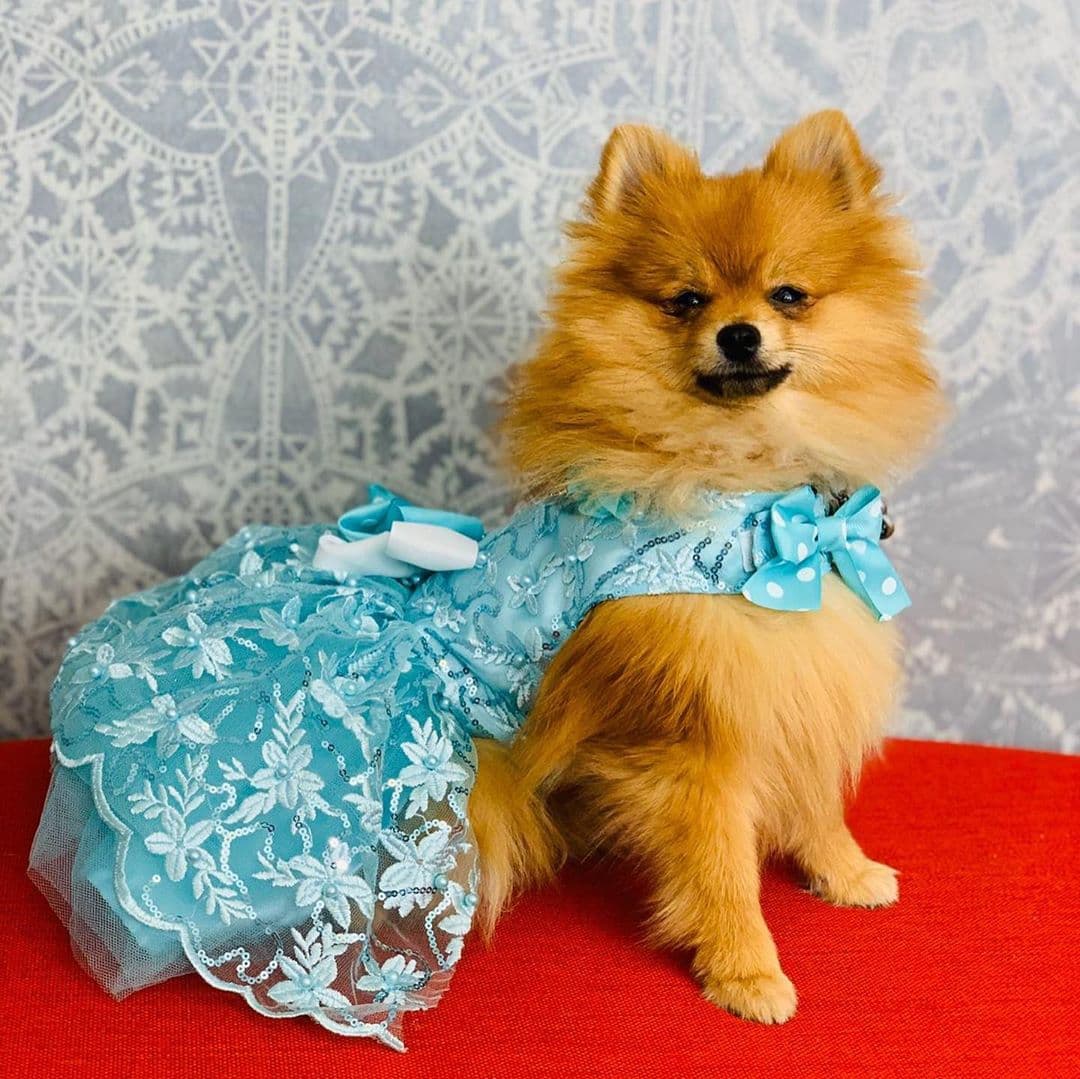 ¿Se puede hablar de moda o belleza sin mencionar a Bombom?