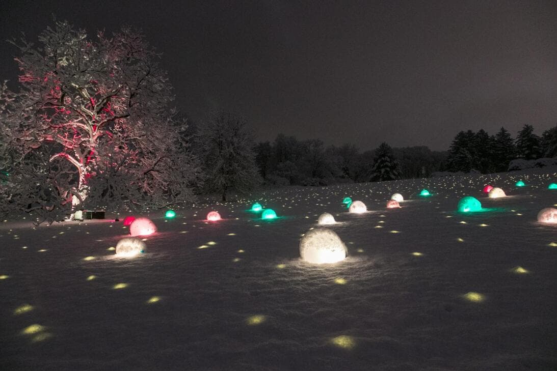 La tradición invernal en 
<a href="https://mortonarb.org/explore/activities/family/illumination/#!" target="_blank">The Morton Arboretum</a> se reinventó durante la pandemia para que sea una experiencia que se pueda disfrutar desde el auto de los visitantes en un recorrido de dos millas. Este año el público podrá volver a caminar entre los árboles.