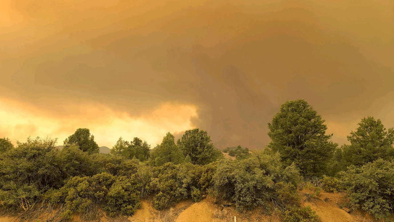 Las altas temperaturas complican las labores de apagar el incendio Gin a 5 millas al noreste de Globe, Arizona. Se reporta que este incendio ha quemado más de 4,000 acres de maleza. 
<br>