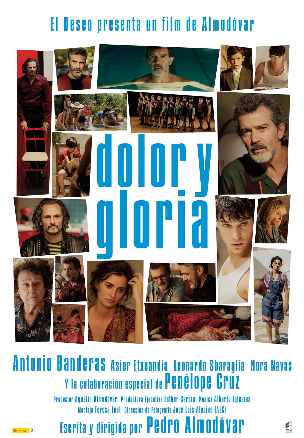 <b>Mejor película de lengua extranjera: </b>'Corpus Christi', de Jan Komasa, Polonia; 'Honeyland', de Tamara Kotevska y Ljubomir Stefanov, Macedonia; 'Les misérables' ('Los miserables'), de Ladj Ly, Francia; 'Pain and glory' ('Dolor y gloria'), de Pedro Almodóvar, España y 'Parasite' ('Parásitos'), de Bong Joon-ho, Corea del Sur.