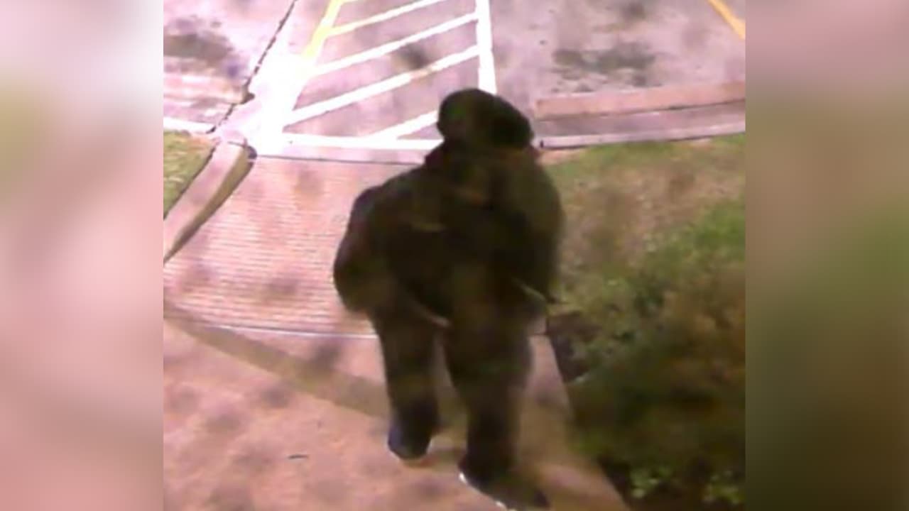 El hombre intentó forzar la entrada el establecimiento, trató de arrebatar la bolsa a la mujer, ella lo empujó y fue cuando él le disparó.