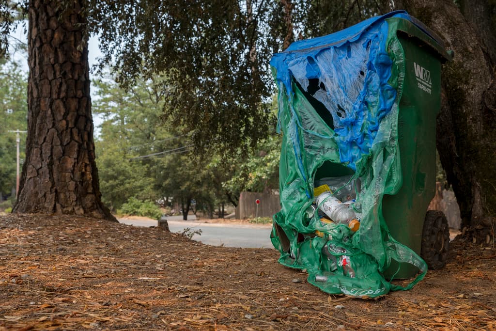 Como se puede observar, el calor derritió gran parte de un recipiente de basura reciclable.