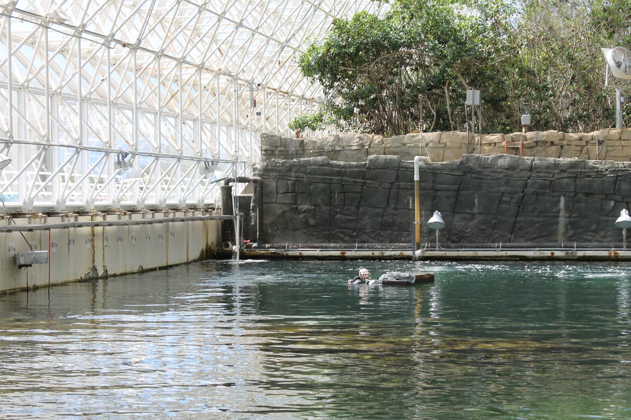 Un océano está recreado dentro de la biosfera donde realizan diferentes experimientos