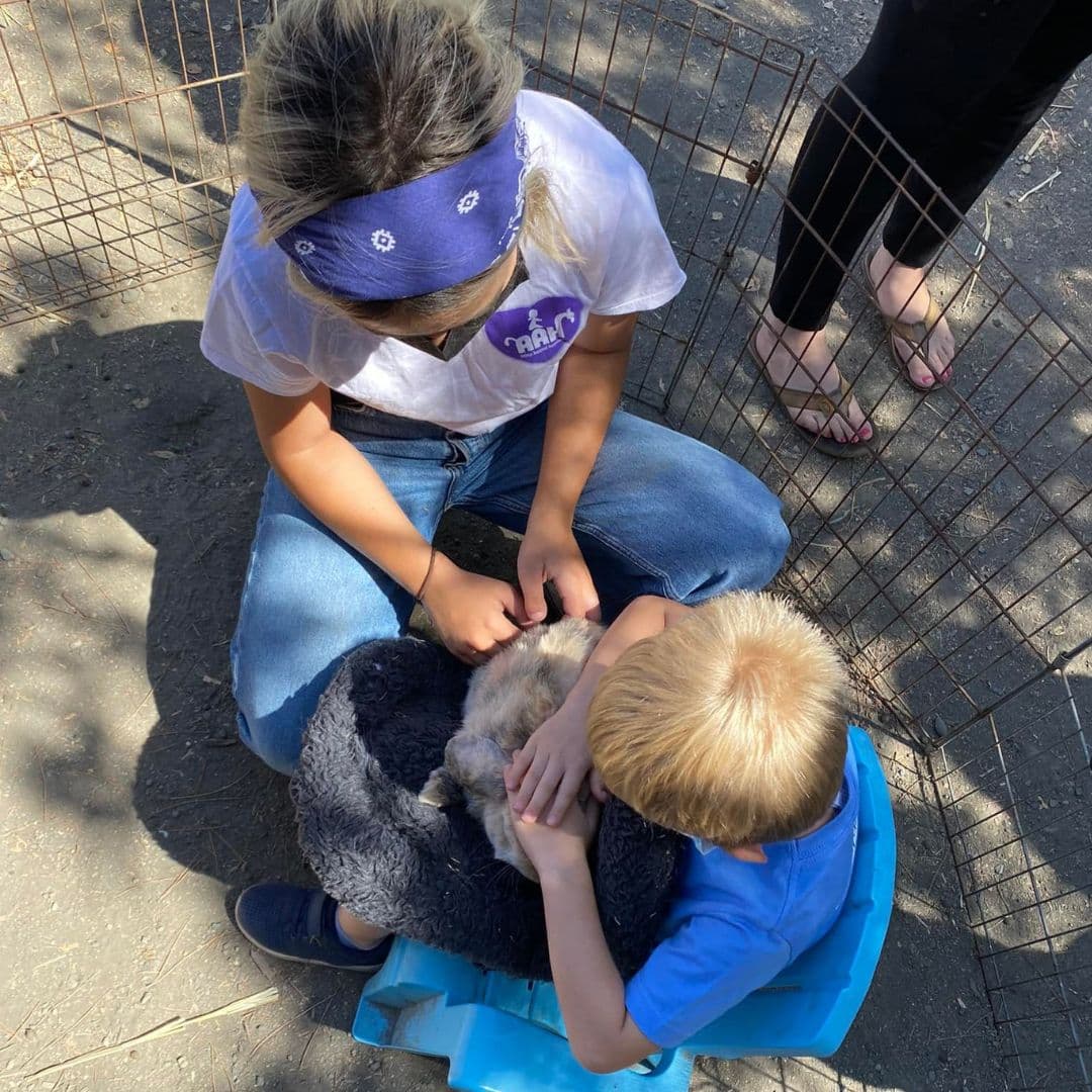 A medida que el programa se hizo más popular, se trasladó a sitios en Gilroy y Sunnyvale, antes de aterrizar en Baylands Park en 2017. Ahora tienen un contrato de arrendamiento de $1 por año en el sitio hasta al menos 2027, dijo Amon-Higa. 
<br>