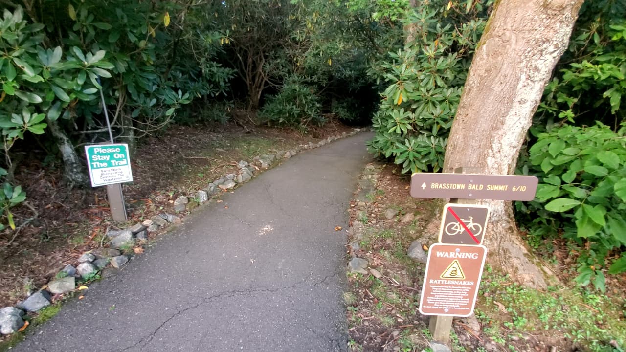 Uno de estos caminos te llevará justo hasta la cima del centro de visitantes.