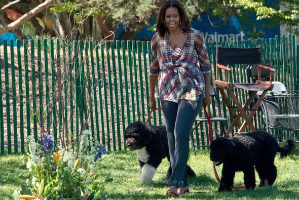 Y es que Michelle sabe de lo que habla, pues siempre se mantiene muy activa con perros o sin ellos. Mira también todos los beneficios de tener perros como los del presidente
