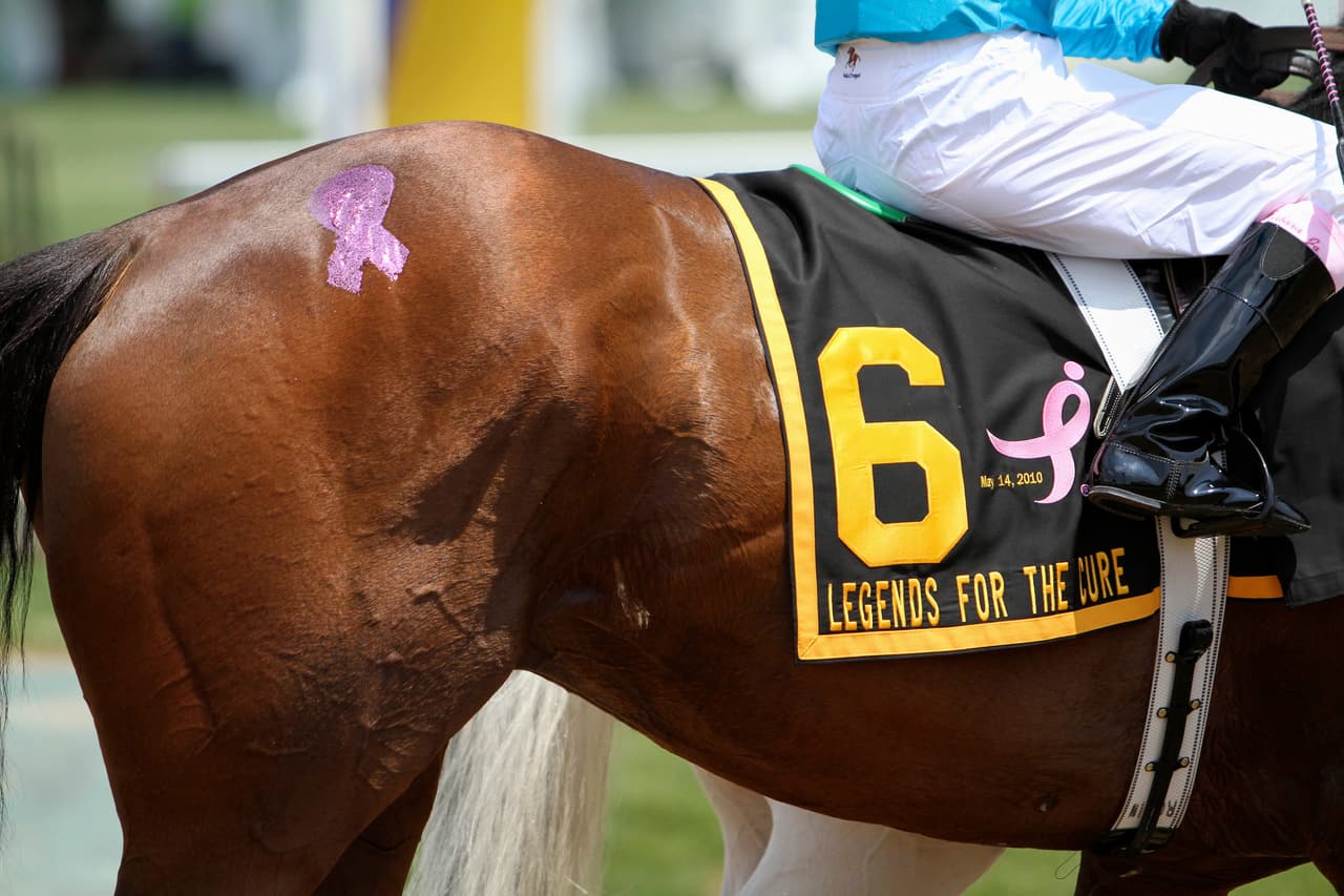 Las actividades son: iluminación de edificios emblemáticos de color rosa, carreras deportivas, campañas informativas y pruebas de detección gratuitas.