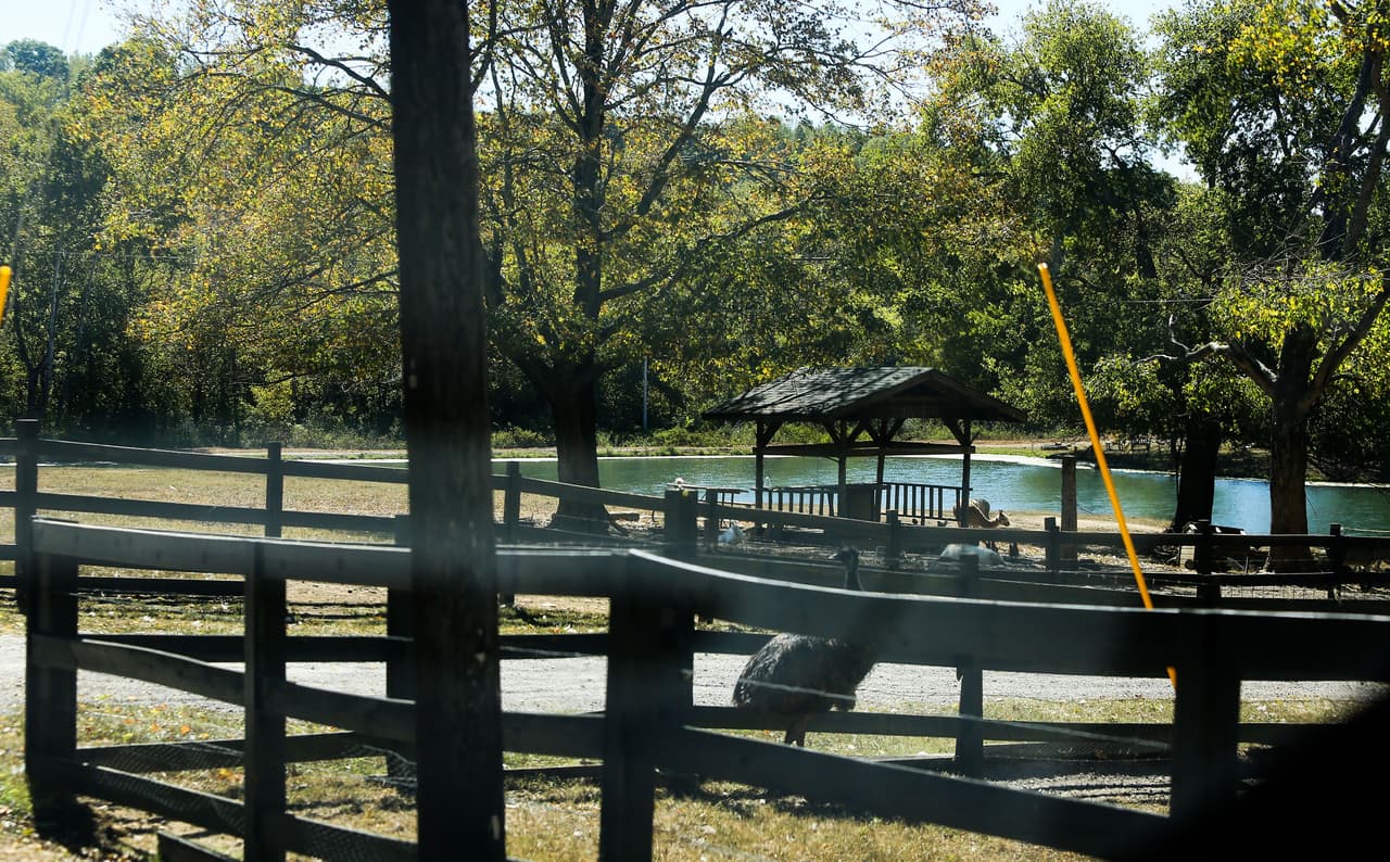 Cuenta con árboles enormes y muchas áreas verdes.