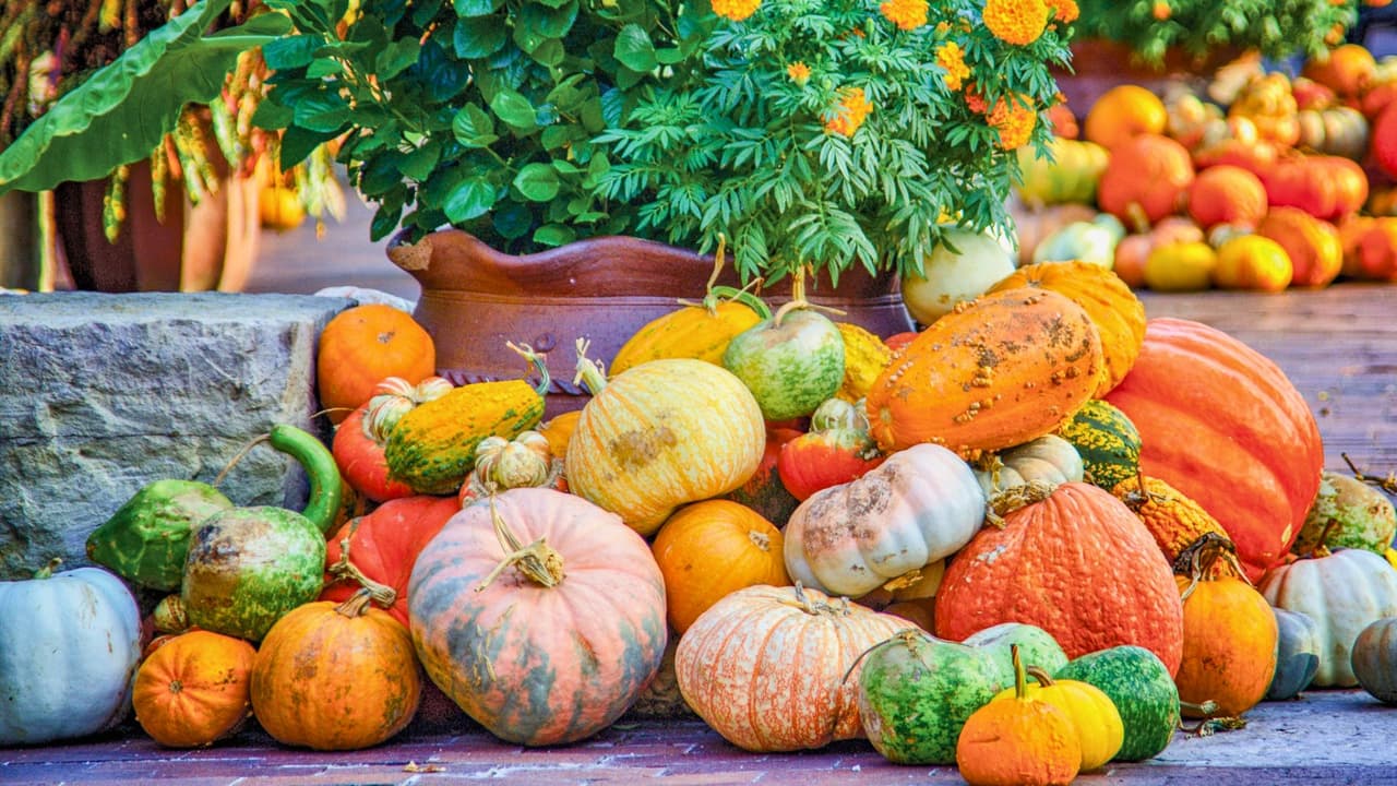 <b>Información práctica</b>
<br>📍
<b>Ubicación:</b>
<a href="https://maps.app.goo.gl/duCPdA5fWNfNrAS49" target="_blank">8525 Garland Road, Dallas </a>
<br>📆
<b>Edades:</b> Para todas las edades.
<br>💰
<b>Costo:</b> Entrada gratuita con la admisión regular que es de…
<br>$22 adultos
<br>$18 personas mayores
<br>$13 niños (de 3 a 12 años)
<br>Gratis para menores de 3 años