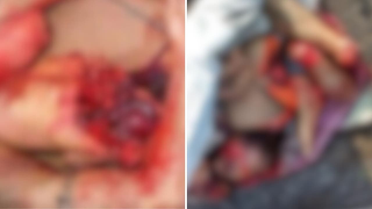 Imágenes que recibió la víctima