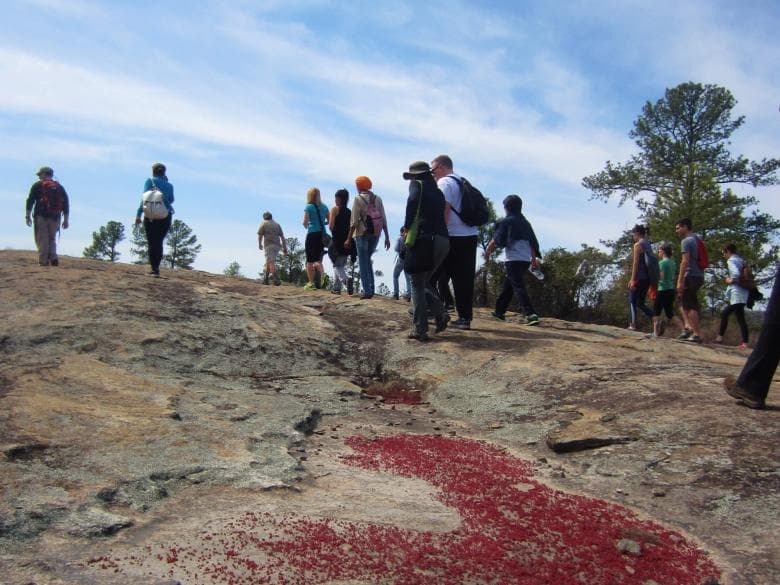 <b>Davidson-Arabia Mountain Nature Preserve</b>
<br>3787 Klondike Rd. Lithonia, GA. 30038
<br>Esta reserva de 2,500 acres es parte del Área del Patrimonio Nacional de la Montaña Arabia e incluye vistas panorámicas, senderos, arroyos y sitios históricos. La reserva también incluye otras grandes formaciones de granito expuesto, humedales, bosques de pinos y robles, múltiples arroyos y dos lagos. Los visitantes pueden pasear por la reserva a través de millas de senderos para caminatas y un sendero para bicicleta. Los senderos de Nature Preserve y Arabia Mountain están abiertos al público desde el amanecer hasta el anochecer. No hay tarifa por el estacionamiento o por el uso de los senderos. Se admiten perros con correa. Se permite pescar, con una licencia estatal válida, en Arabia Lake.