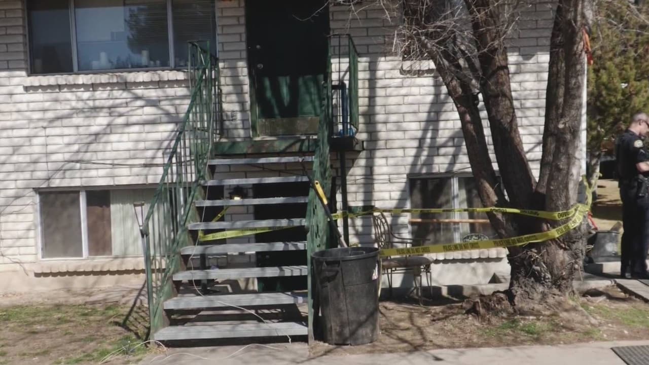 Hallan el cuerpo de una mujer en un cobertizo: su expareja, con antecedentes de violencia doméstica, es sospechoso del crimen