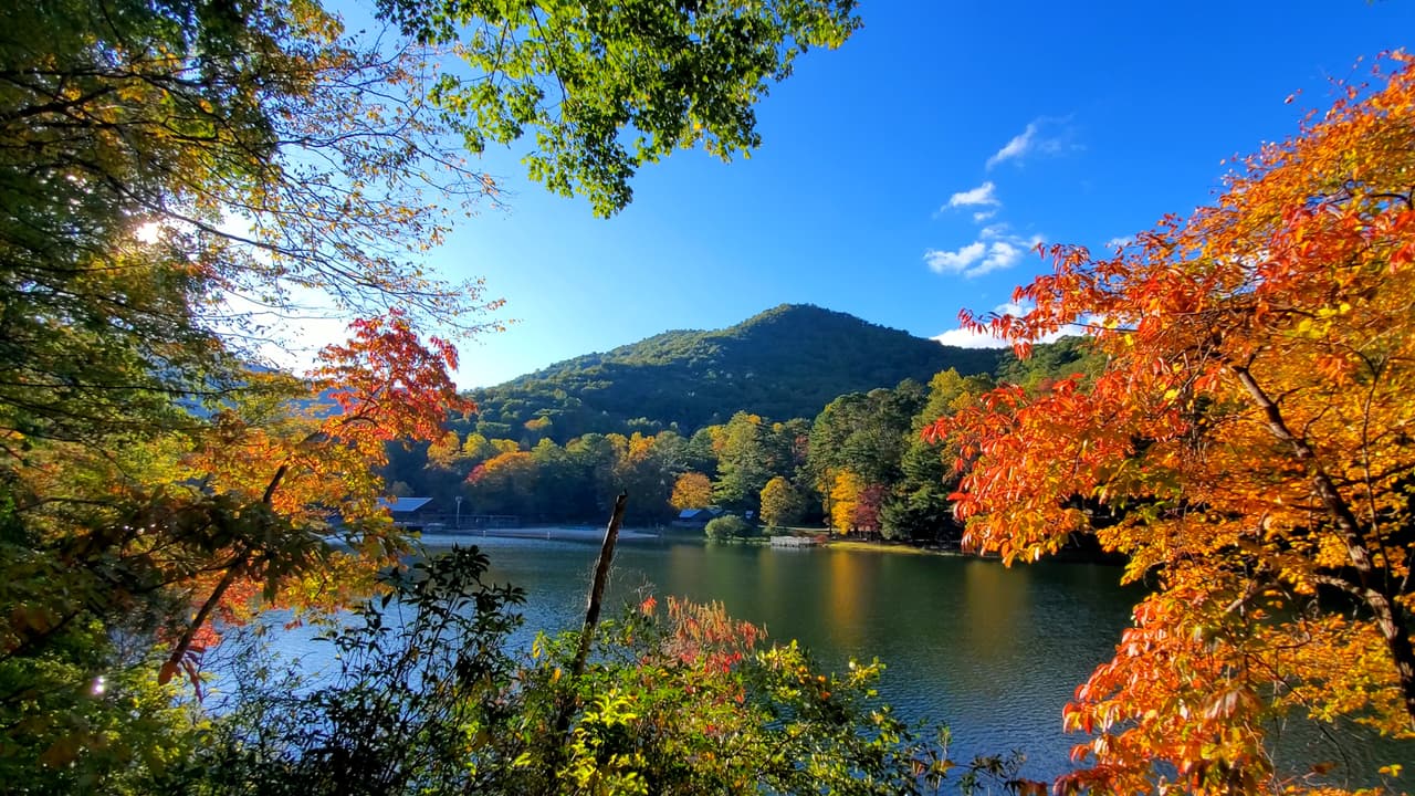 Vogel State Park está ubicado en el 
<b><a href="https://maps.app.goo.gl/yuYYWRMs6L8wGPd36">405 Vogel State Park Road, en Blairsville</a></b>, a unas 90 millas en auto al noreste de Atlanta.