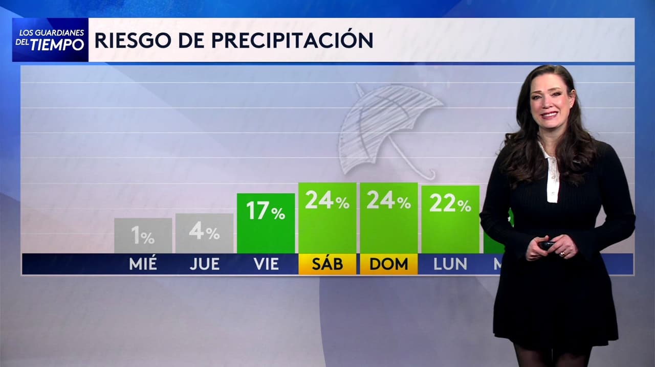 Pronóstico del tiempo hoy en Nueva York: ráfagas de viento frío; el termómetro alcanzará 36 °F