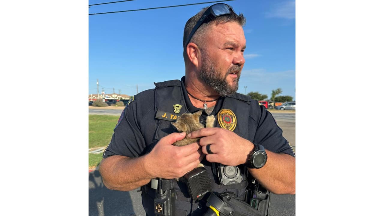 No dudó en
<b>llamar a todos sus refuerzos</b> y tras persuadirla pudieron rescatarla.