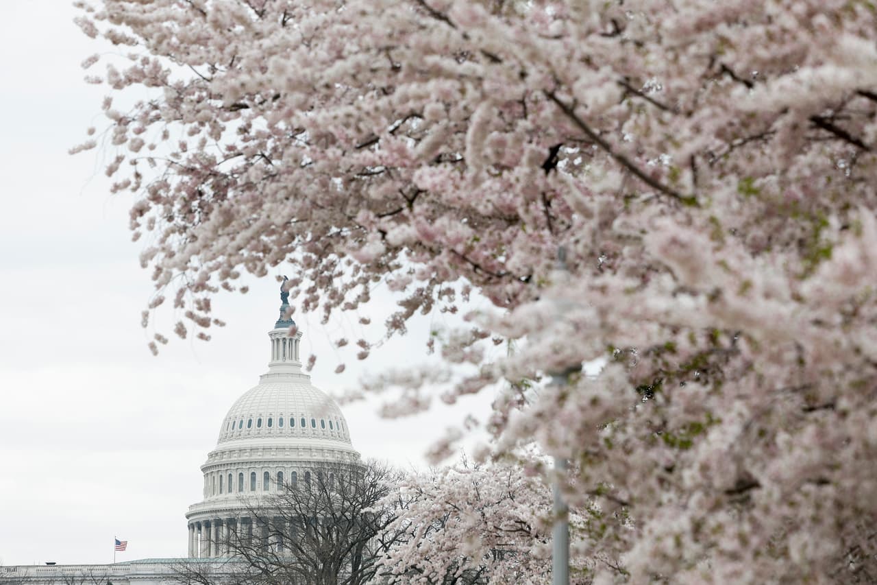 ¿Qué opinas del regalo que nos da la naturaleza en esta época del año?