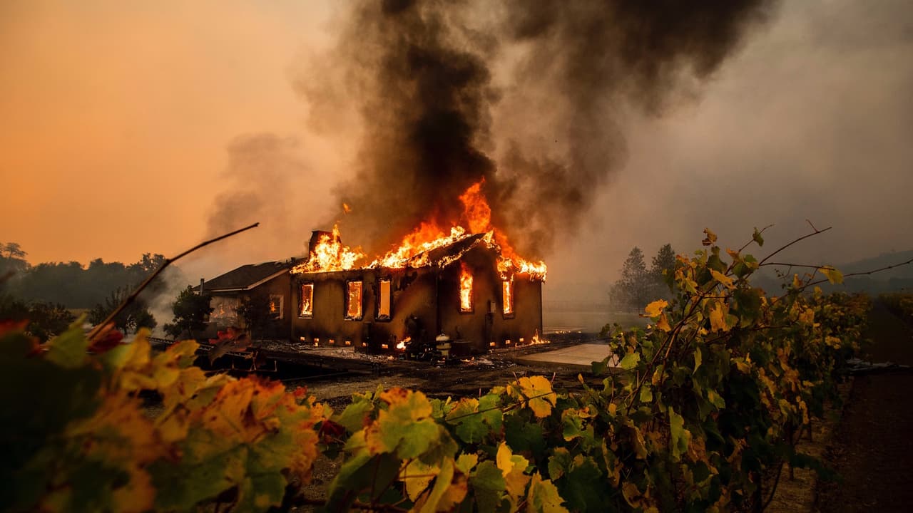 "Si están en Geyserville, salgan ahora": incendio forestal sin control devora más de 10,000 acres en el norte de California