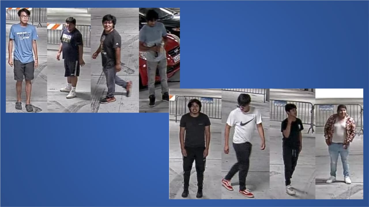Buscan a ocho jóvenes en Gainesville por ocasionar daños en un estacionamiento 