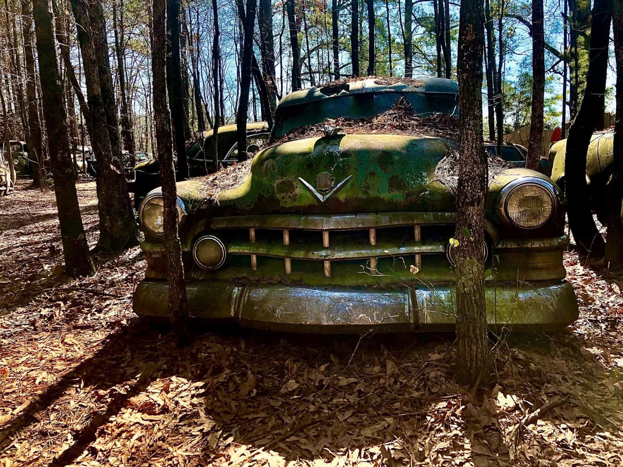<b><a href="https://goo.gl/maps/jKbxH59ewJHEwdFY9">Old Car City en White, Georgia</a></b>, a unas 49 millas en auto al noroeste de Atlanta, contiene el depósito de chatarra de autos clásicos más grande del mundo.