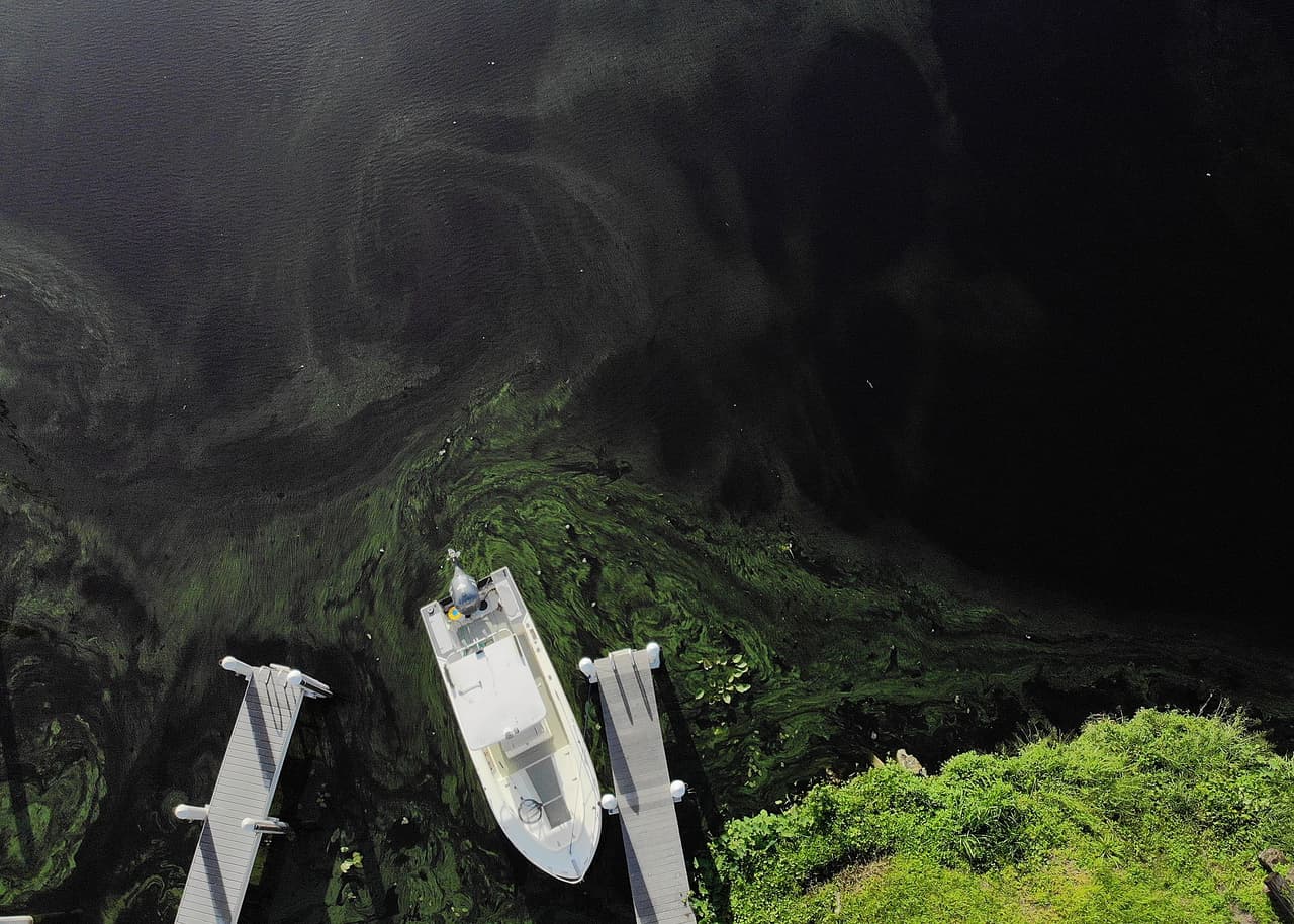 Si se ingiere, el agua contaminada con cianobacterias tóxicas puede causar náuseas, vómitos y, en casos graves, insuficiencia hepática aguda, según la Comisión de Conservación de Pesca y Vida Silvestre de la Florida. Si se ingiere, el agua contaminada con cianobacterias tóxicas puede causar náuseas, vómitos y, en casos graves, insuficiencia hepática aguda, según la Comisión de Conservación de Pesca y Vida Silvestre de la Florida.