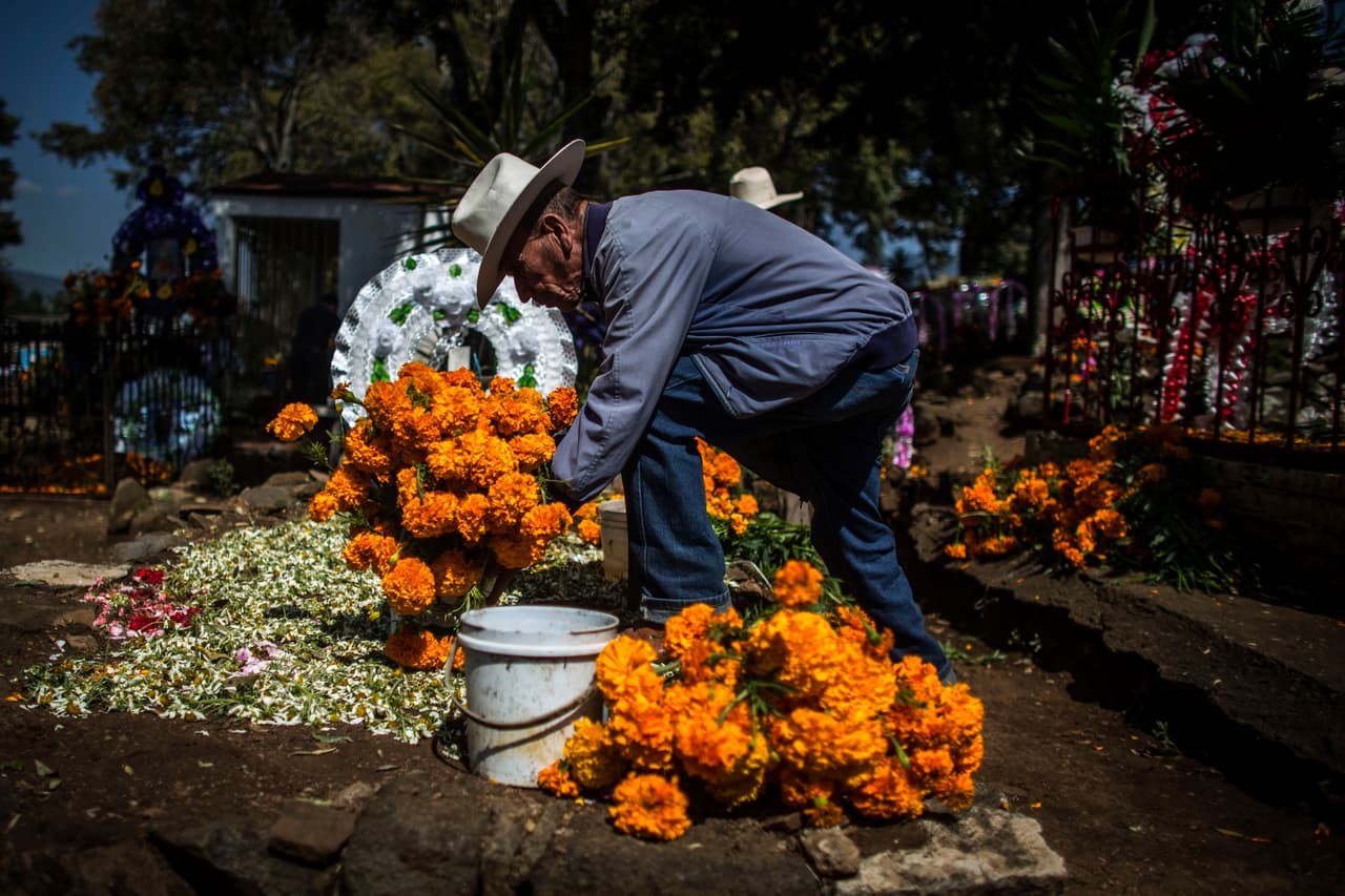 Inclusive, para todos aquellos que se lo preguntaban, el cempasúchil es comestible y la flor puede ser usada en ensaladas y postres, entre muchos otros platillos, como las tortillas de cempasúchil, que cada vez son más populares sobre todo en la temporada del Día de Muertos.