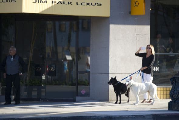 Protestas Trayvon Martin