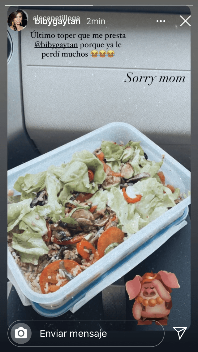 La curiosa anécdota valió que la actriz de'Camila' también compartiera en su cuenta de Instagram la foto de su hija junto a un cerdito que se lamenta moviendo la cabeza.