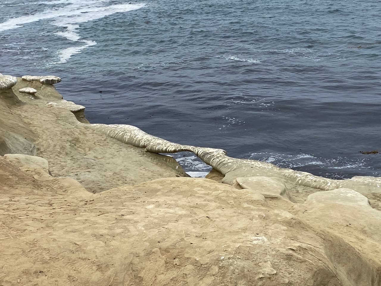 ¿Cómo titularías esta foto?