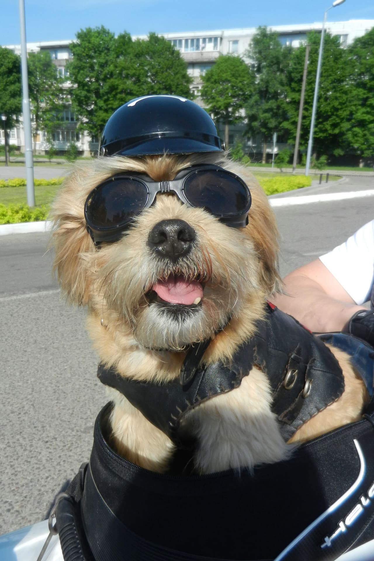 Este viaje se convirtió en el inicio del hobby de Stitch: la motocicleta.