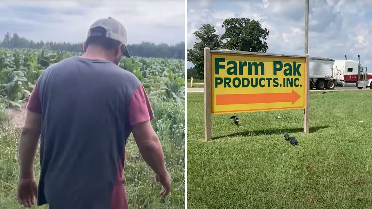 Trabajador llegó pizcar camote con Visa H2-A y murió en una granja en Carolina del Norte