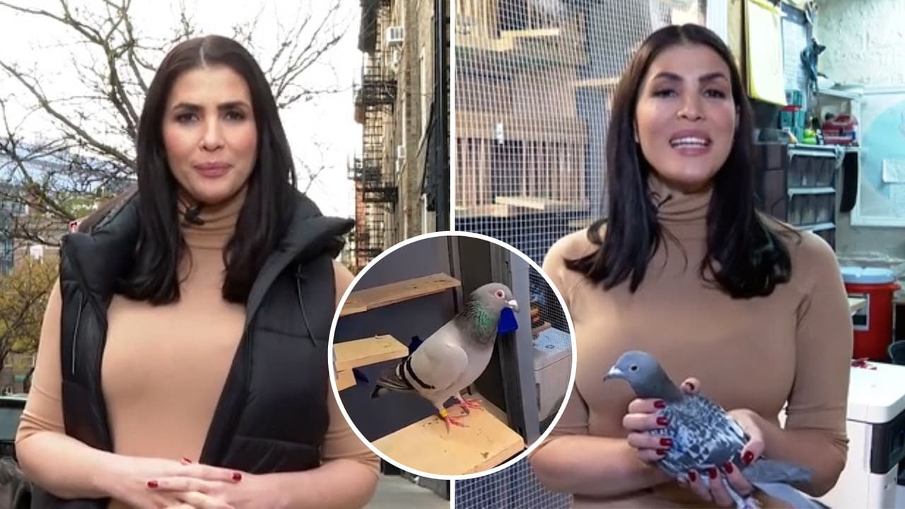 Recordamos a Patricia Fuenmayor en historia de palomas mensajeras