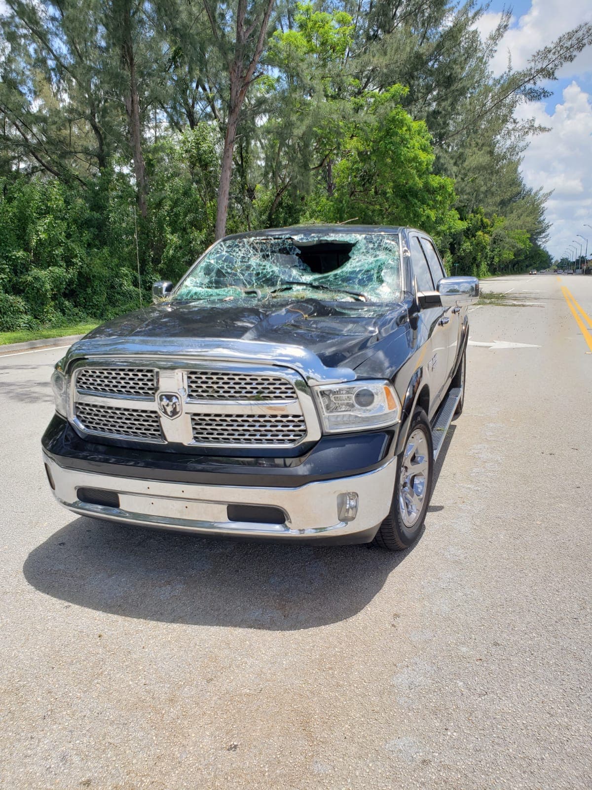 En el vecindario se hallaron ramas y troncos desprendidos y apoyados peligrosamente sobre otros árboles.
<br>